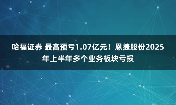 哈福证券 最高预亏1.07亿元！恩捷股份2025年上半年多个业务板块亏损